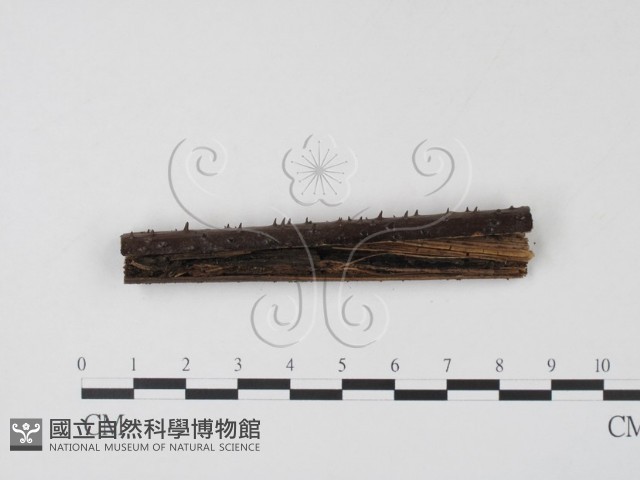 登錄號:F0003084藏品圖，第1張