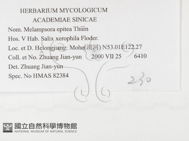 登錄號:F0026384藏品圖，第3張