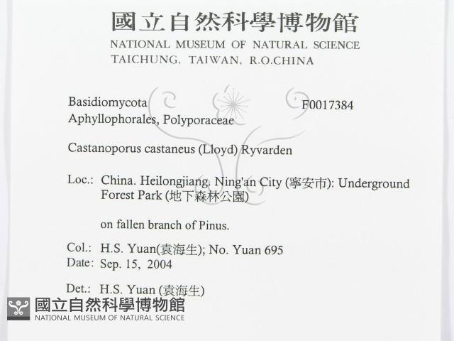登錄號:F0017384藏品圖，第3張