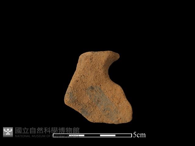 陶片藏品圖，第2張