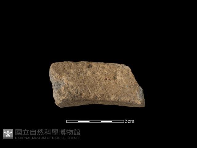 陶罐藏品圖，第1張