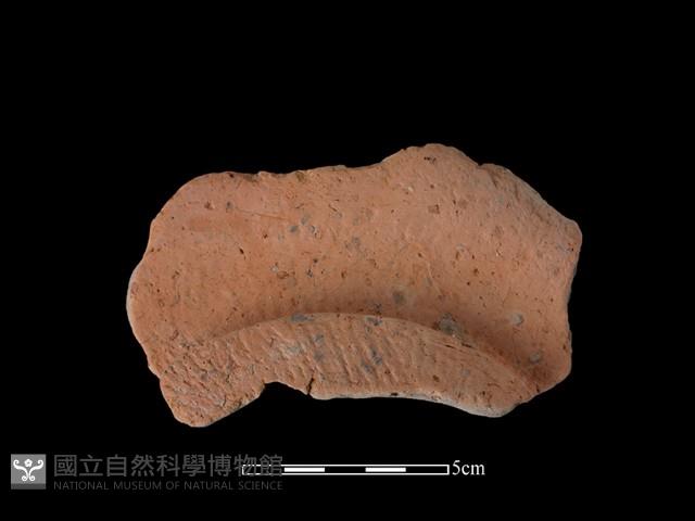 豆形器藏品圖，第2張