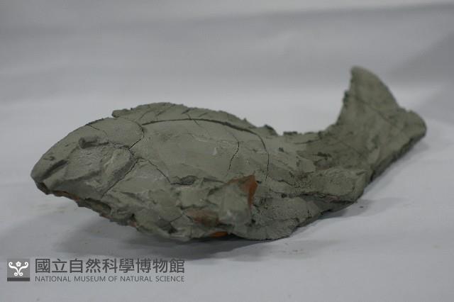 剪粘(魚)藏品圖，第1張