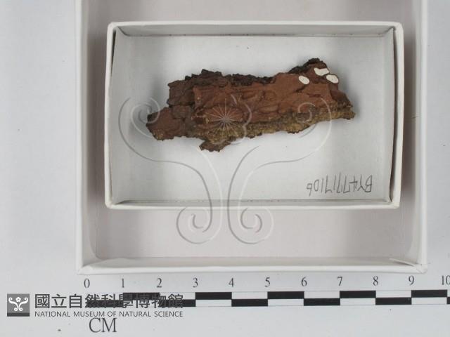 登錄號:F0018102藏品圖，第1張