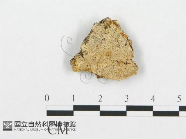 登錄號:F0007102藏品圖，第1張