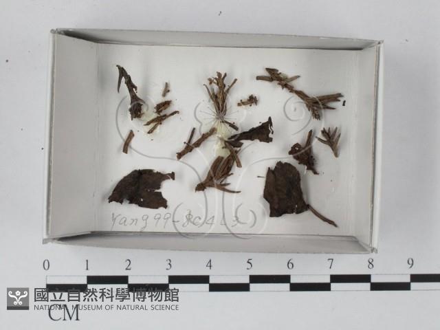 登錄號:F0019102藏品圖，第1張