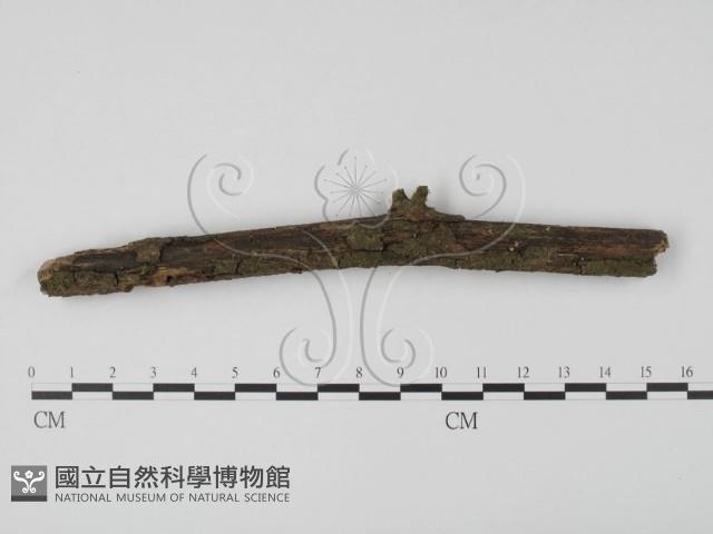 登錄號:F0001002藏品圖，第1張