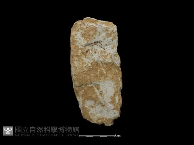 斧鋤形器藏品圖，第1張