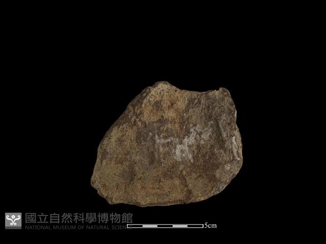 石片器藏品圖，第1張