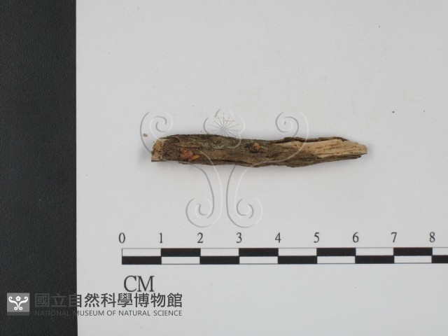 登錄號:F0002002藏品圖，第3張