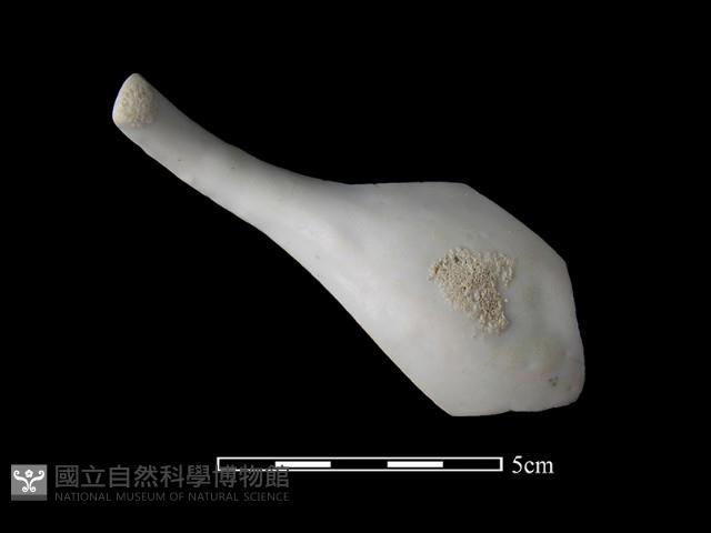 湯匙藏品圖，第1張