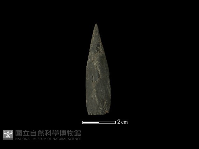 矛鏃形器藏品圖，第1張