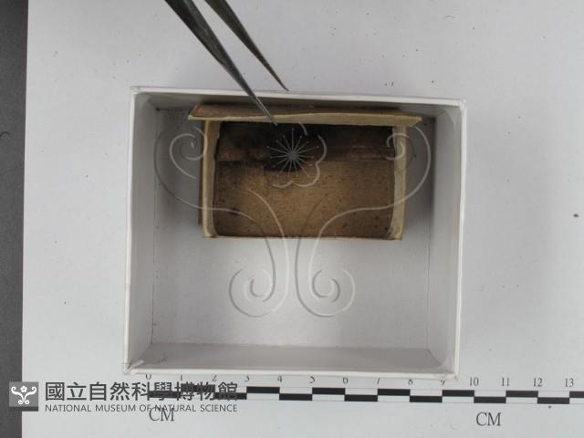 登錄號:F0018302藏品圖，第1張