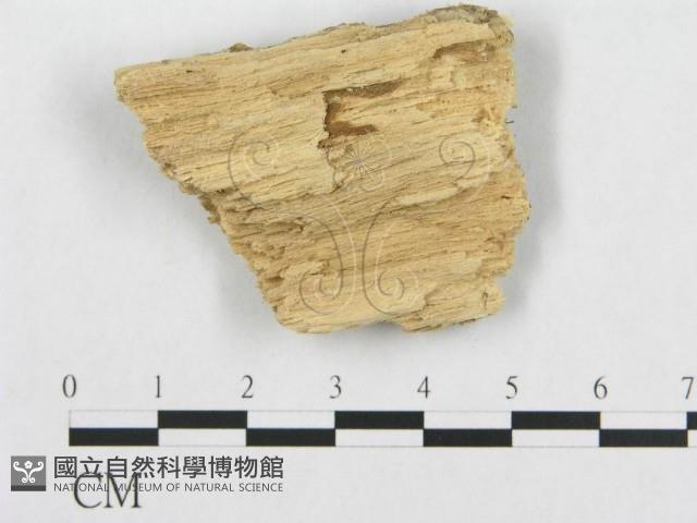 登錄號:F0007112藏品圖，第1張