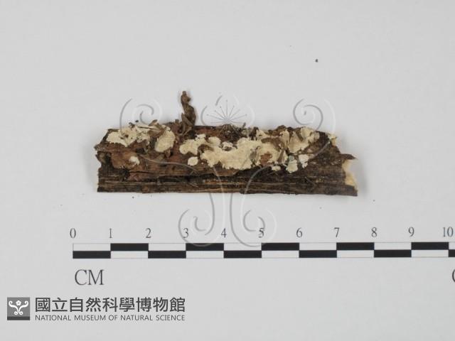 登錄號:F0009112藏品圖，第1張