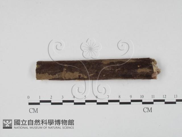 登錄號:F0004012藏品圖，第1張