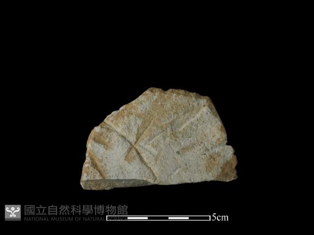 打製石器藏品圖，第2張