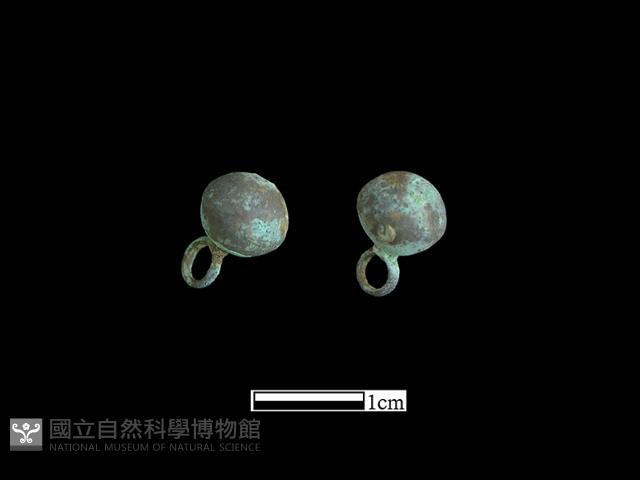 鈕子藏品圖，第3張