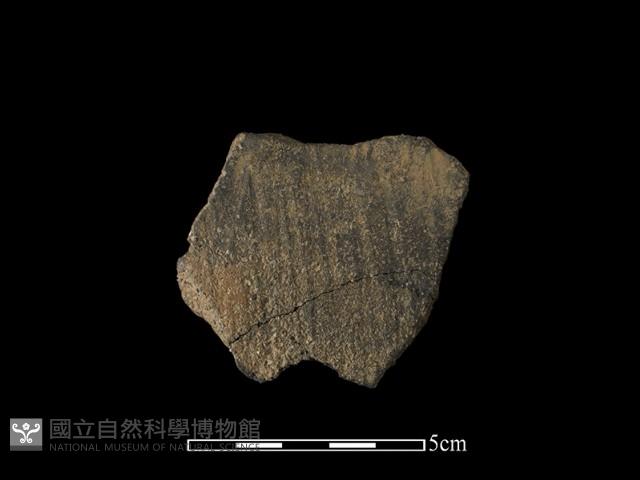 陶片藏品圖，第1張