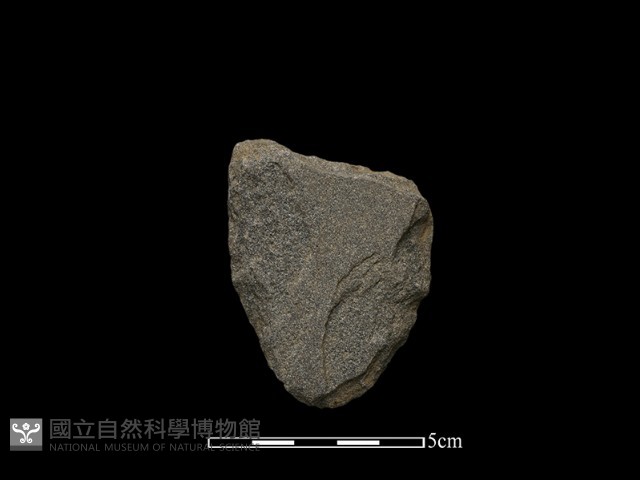 磨製斧鋤形器藏品圖，第2張