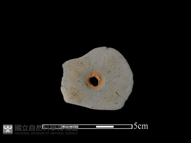 紡輪藏品圖，第2張