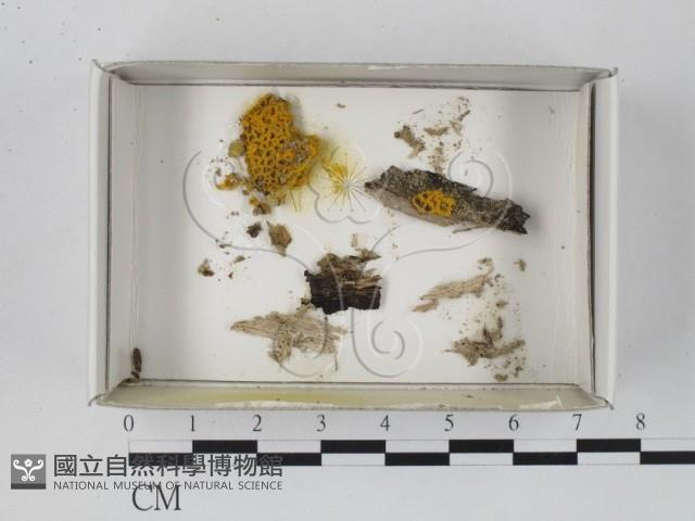 登錄號:F0018292藏品圖，第1張