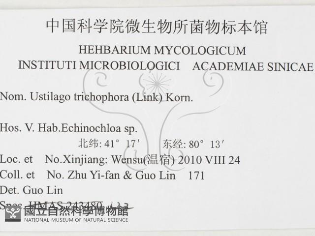 登錄號:F0026292藏品圖，第3張