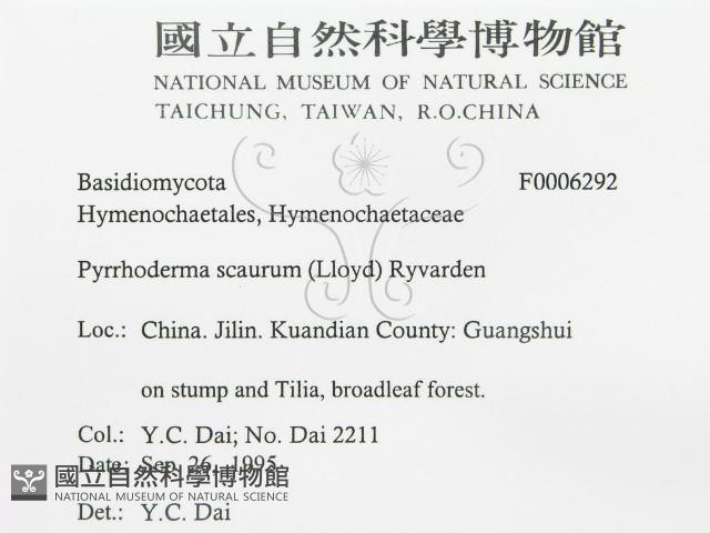 登錄號:F0006292藏品圖，第3張