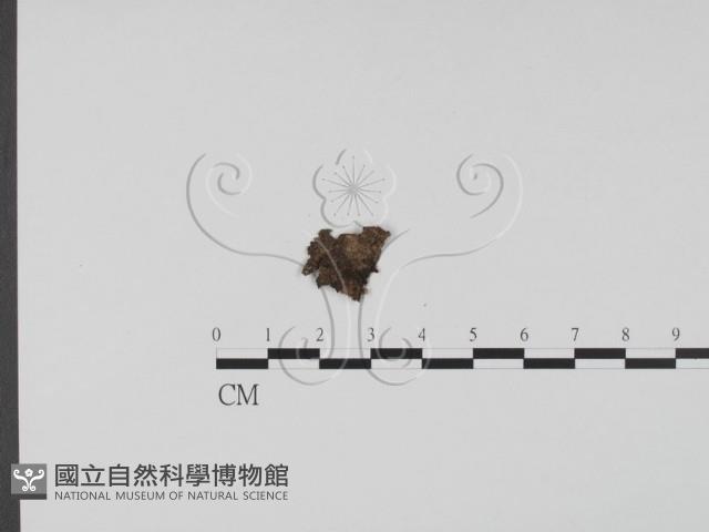 登錄號:F0001292藏品圖，第1張