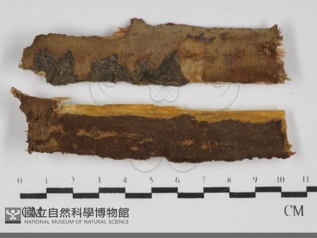 登錄號:F0032292藏品圖，第1張
