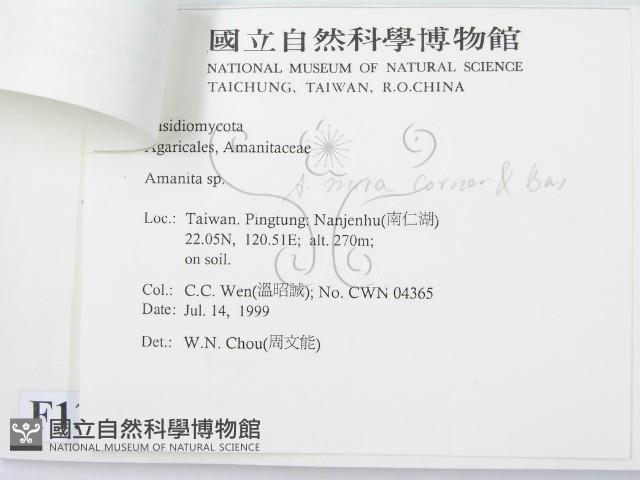 登錄號:F0013292藏品圖，第3張