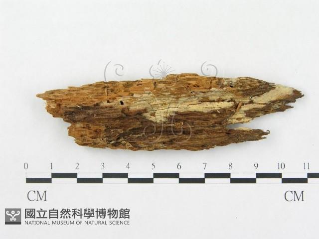 登錄號:F0000892藏品圖，第1張