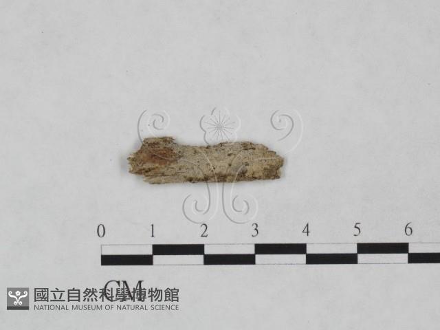 登錄號:F0024892藏品圖，第1張