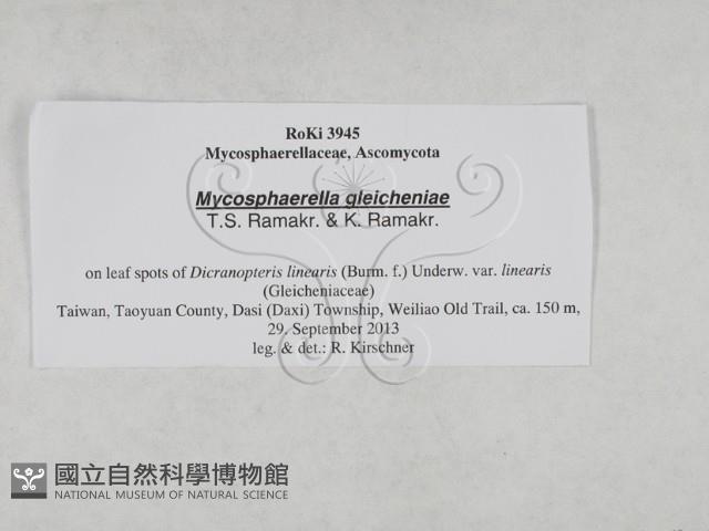 登錄號:F0027892藏品圖，第3張