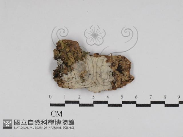 登錄號:F0030992藏品圖，第1張