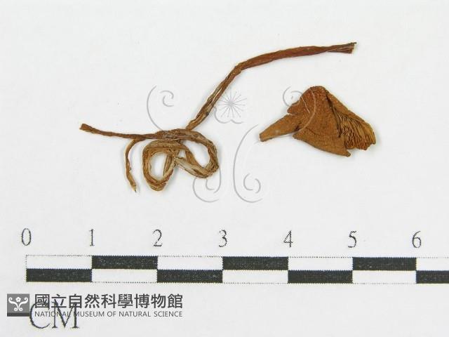 登錄號:F0001992藏品圖，第1張