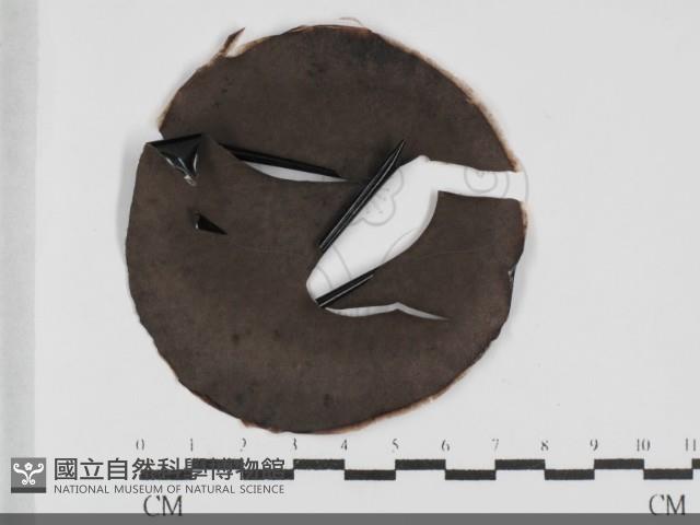 登錄號:F0031992藏品圖，第1張