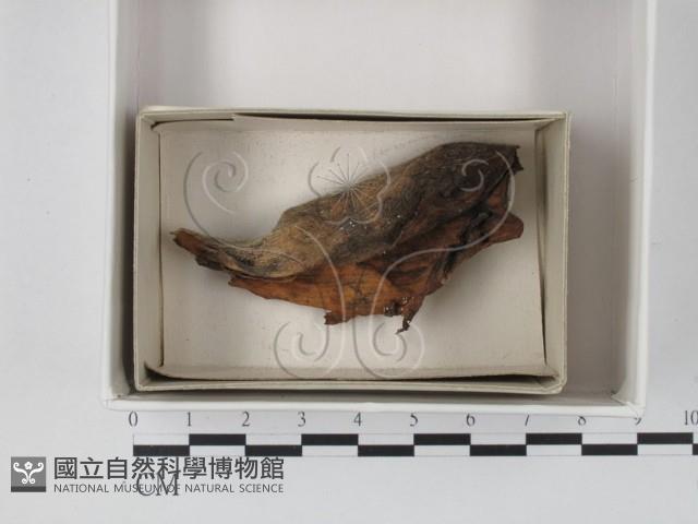 登錄號:F0017992藏品圖，第1張