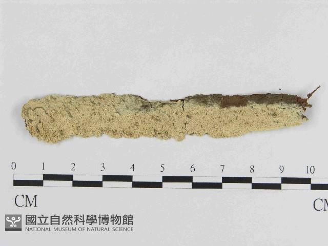 登錄號:F0014692藏品圖，第1張