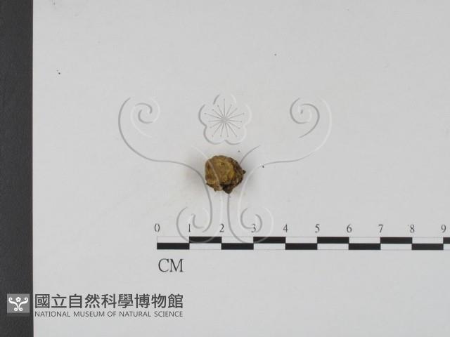 登錄號:F0002692藏品圖，第1張