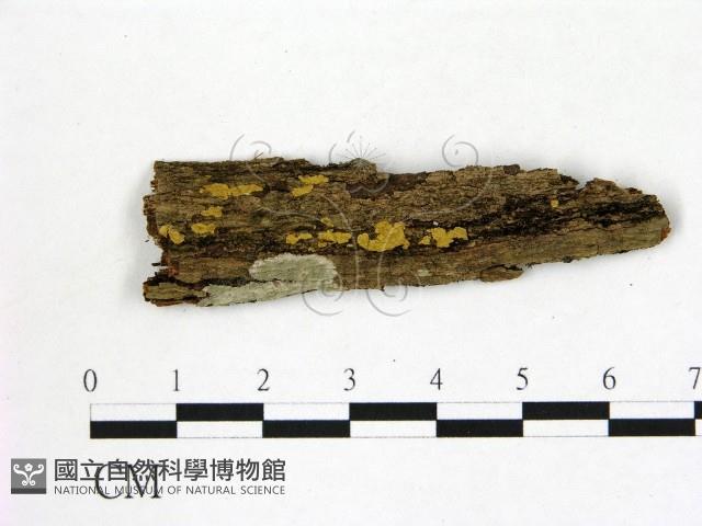 登錄號:F0020492藏品圖，第1張
