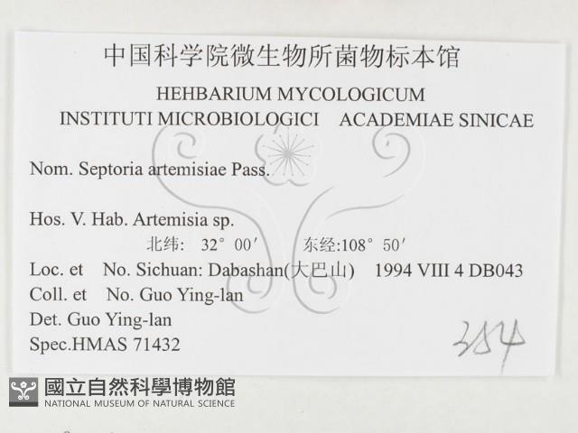 登錄號:F0026492藏品圖，第3張