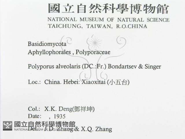 登錄號:F0016492藏品圖，第3張