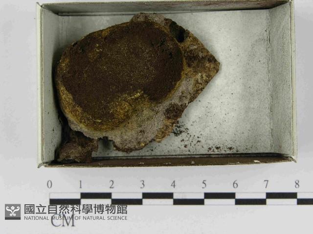 登錄號:F0021492藏品圖，第1張