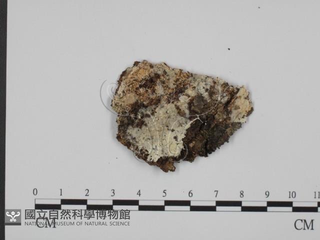 登錄號:F0001492藏品圖，第1張