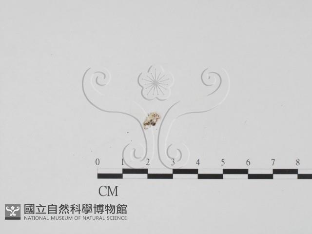 登錄號:F0002492藏品圖，第1張