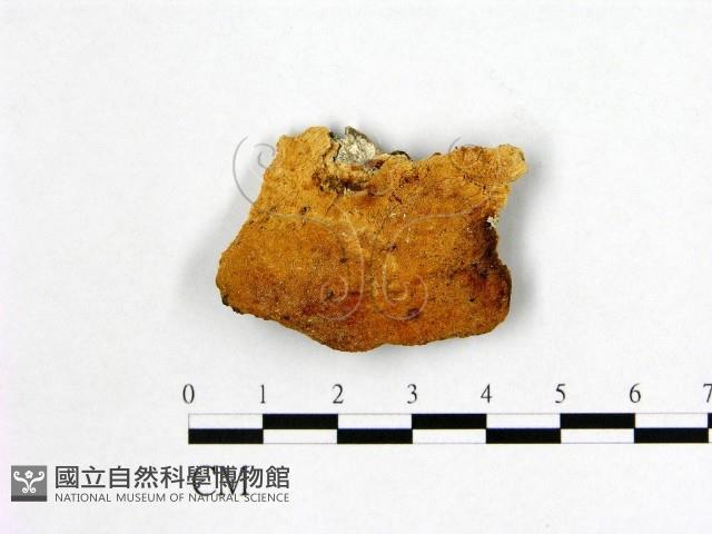 登錄號:F0009492藏品圖，第1張