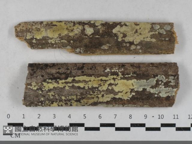 登錄號:F0033492藏品圖，第1張