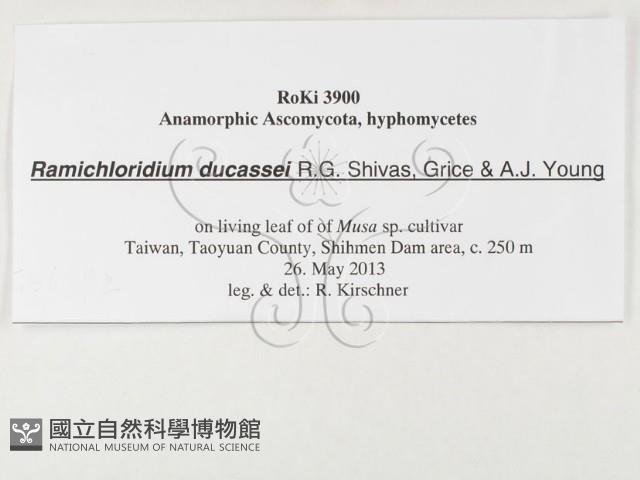 登錄號:F0026792藏品圖，第3張