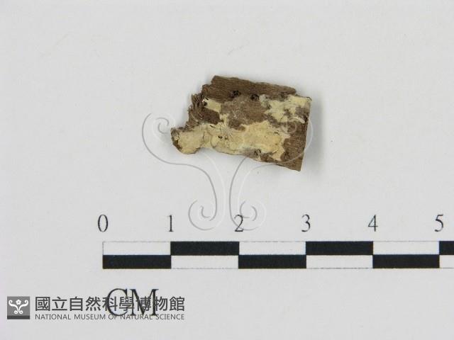 登錄號:F0016792藏品圖，第1張